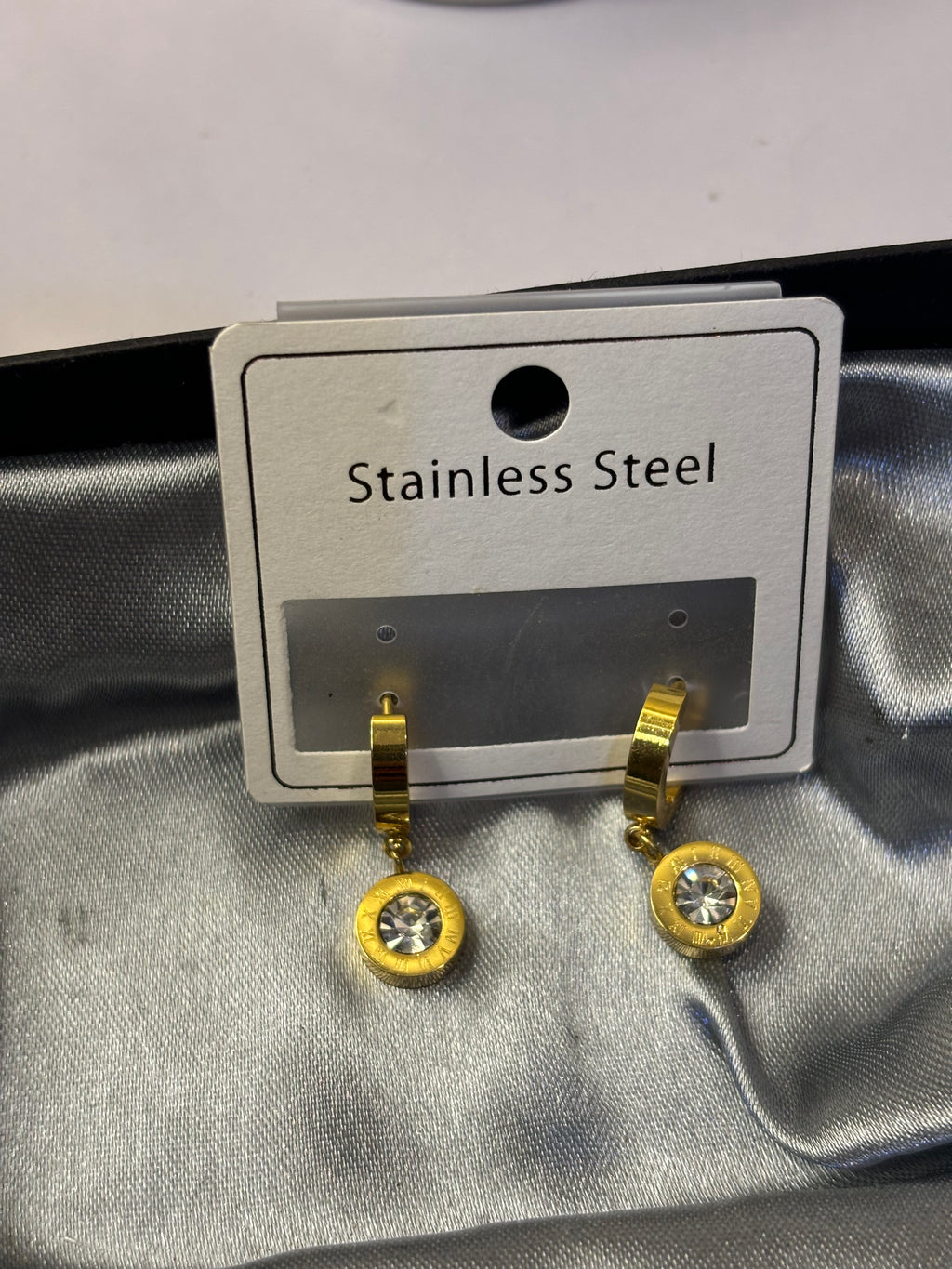 Stainless steel hanging stone earrings
