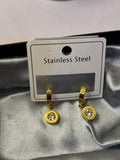 Stainless steel hanging stone earrings