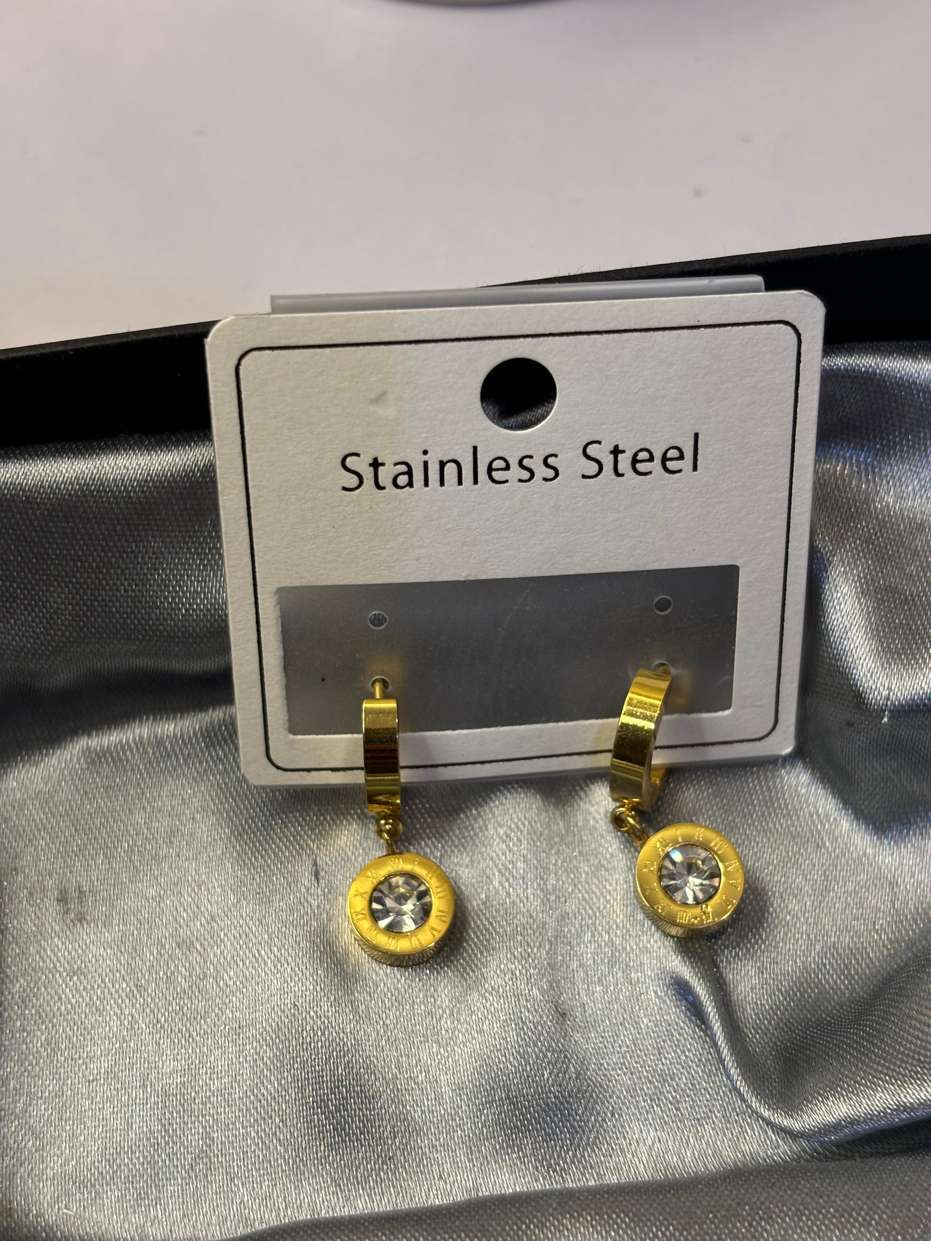 Stainless steel hanging stone earrings